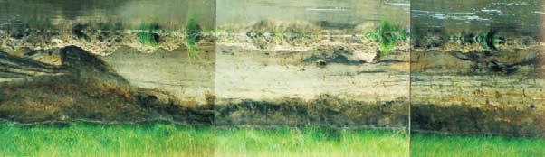 wypełnienia paleomeandra