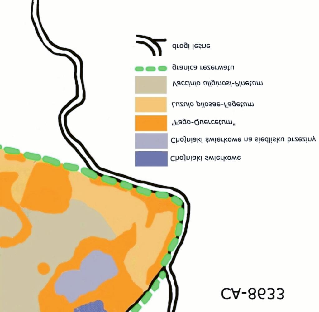 60 Dariusz Karasiñski towano najwiêksz¹ ró norodnoœæ grzybów afylloforoidalnych s¹ fragmentami istniej¹cych rezerwatów przyrody: Kurze Grzêdy (CA-8633), Ostrzycki Las (CA-9791), Staniszewskie Zdroje