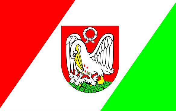 Rada Miejska w Szubinie podjęła uchwałę w sprawie ustanowienia herbu, flagi i pieczęci urzędowych Gminy Szubin