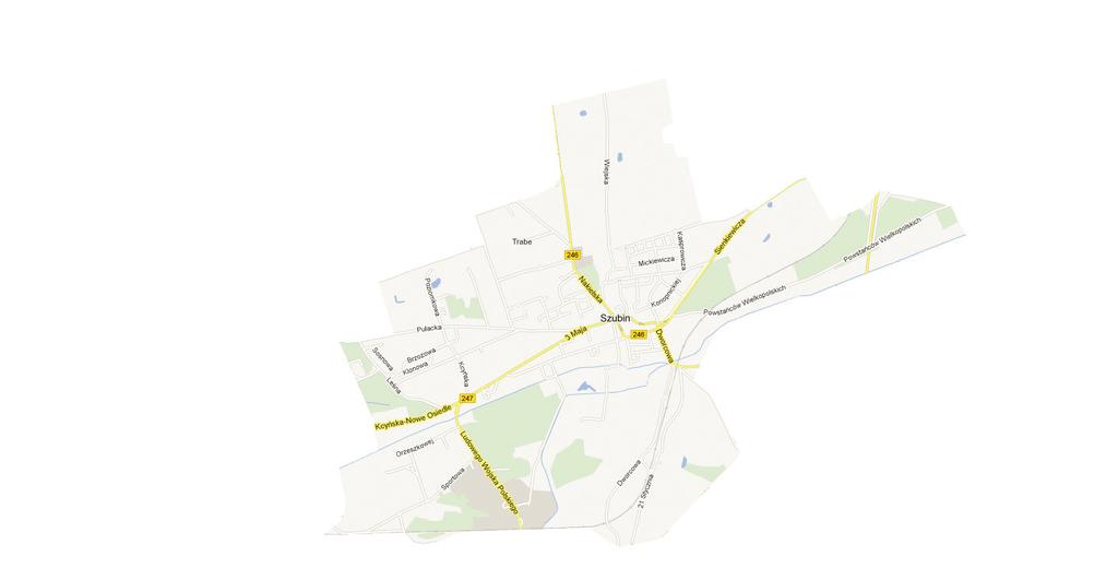 Szubin leży w północno-wschodniej części Pałuk na Pojezierzu Wielkopolsko-Kujawskim, na zboczu rozległego wzniesienia, z którego można obejrzeć panoramę miasta.
