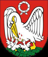 Podsumowanie Wizerunek miasta Szubin postrzegany jest przez badanych przede wszystkim jako małe miasto, miasto rodzinne ( dom ), miasto pod Bydgoszczą.