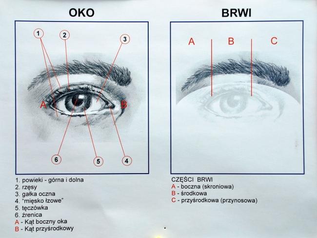 Wymierne efekty osiągnęli również stołeczni rysownicy z Pracowni Odtwarzania Wyglądu Osób i Przedmiotów.