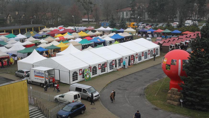 KUJAWSKO-POMORSKA GĘSINA NA ŚW. MARCINA DZIEWIĄTY ROK PROMOCJI Trudno sobie już wyobrazić jesień, a szczególnie listopad, bez akcji Kujawsko-pomorska gęsina.