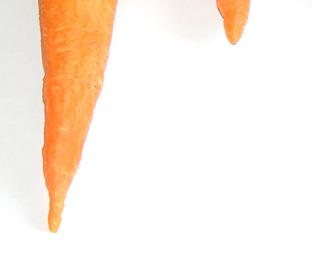 Marchew odmiany Karotan w postaci surowca przed wysuszeniem Karotan variety Carrot in form of material before drying Kostki były umieszczane na jednolitym, kontrastującym tle, odseparowane od siebie.