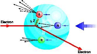 Laboratorium DESY ( Deutches Elektronen Synchrotron ) w Hamburgu Eksperymenty H1 i ZEUS na jedynym na świecie zderzaczu elektron - proton HERA HERA ( Hadron Elektron Ring Anlage ) 1992-2007 zderzenia