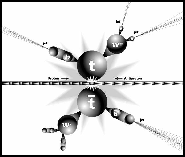 1995 Odkrycie kwarka t ( truth / top, trzecia generacja kwarków, Q = +2/3 ) Eksperymenty CDF i D0 na zderzaczu proton antyproton w