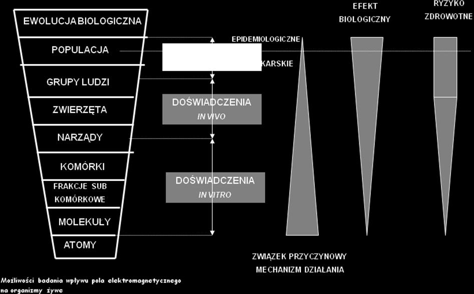 naukowe (wraz z zespołem biologów oraz lekarzy) koncentrują się głównie w sferze badań lekarskich polegających na wykonaniu badań laboratoryjnych tzw.