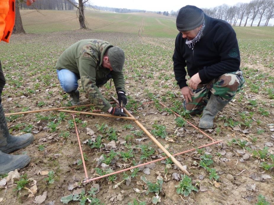 Koszty szacowania szkód łowieckich i szcunkowe koszty wykonywania polowania w kołach okręgu olsztyńskiego PZŁ (310 osób