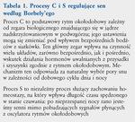 Najbardziej senni jesteśmy w późnych godzinach wieczornych i nocnych (między 22.00 a 1.00) i we wczesnych godzinach popołudniowych między 13.00 a 15.00 (stąd drzemka popołudniowa).