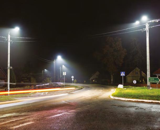 Jednym z dwunastu tysięcy gatunków zwierząt, jakie można spotkać w Białowieży, jest jej symbol prastary żubr.