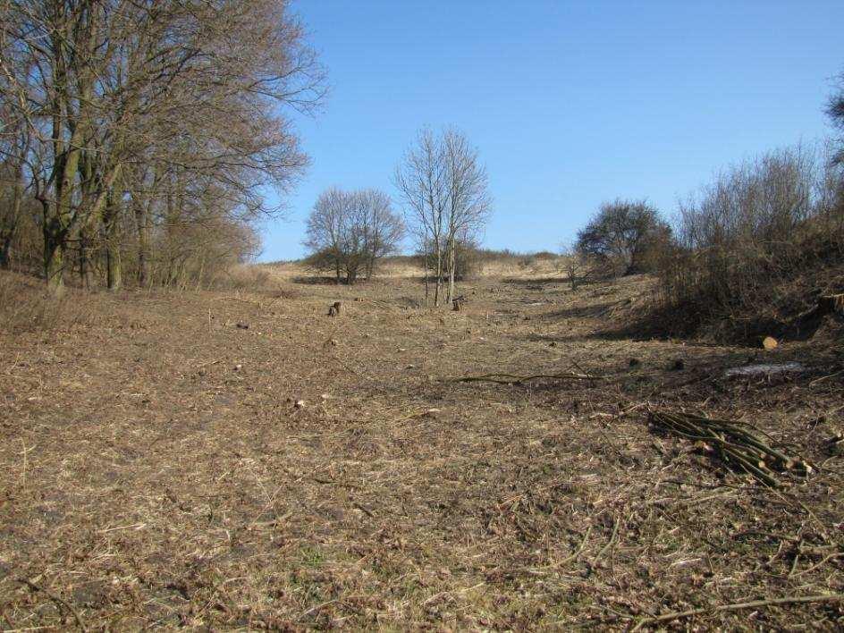 OWCZARY GRODZISKO (działka ewidencyjna nr. 635/18, gmina Górzyca, woj.