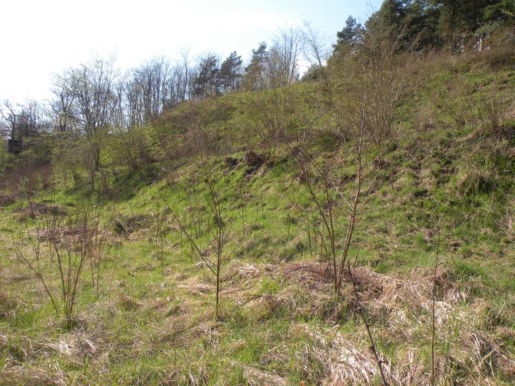 CZĘŚĆ 1. Odtwarzanie muraw kserotermicznych na 3 powierzchniach w okolicy miejscowości Siekierki (gmina Cedynia, woj. zachodniopomorskie), Górzyca i Owczary (gmina Gorzyca, woj. lubuskie).