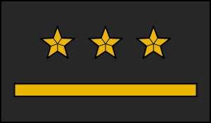 a) dowódca sekcji, b) dowódca plutonu, c) dowódca roty. 15. Do kogo naleŝy przedstawiony stopień umieszczany na ubraniu specjalnym? a) starszy brygadier, b) kapitan, c) aspirant sztabowy. 16.