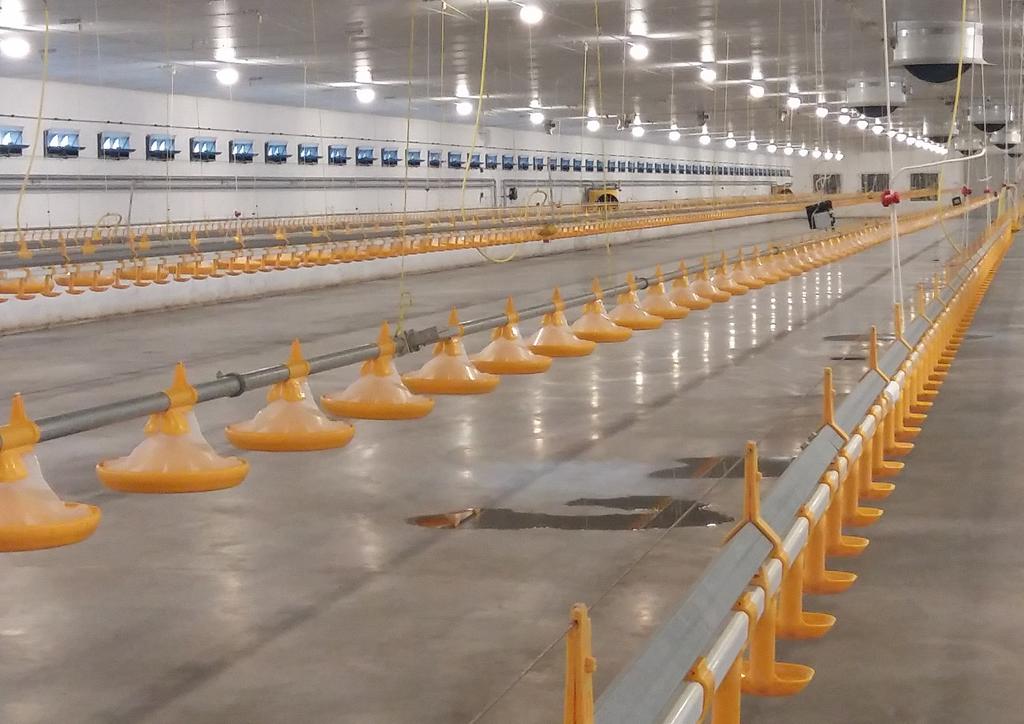 LISTOPAD 2017 NEWS POULTRY IS GETTING EVEN BIGGER IN POLAND PRZERWA ŚWIĄTECZNA W LANDMECO W