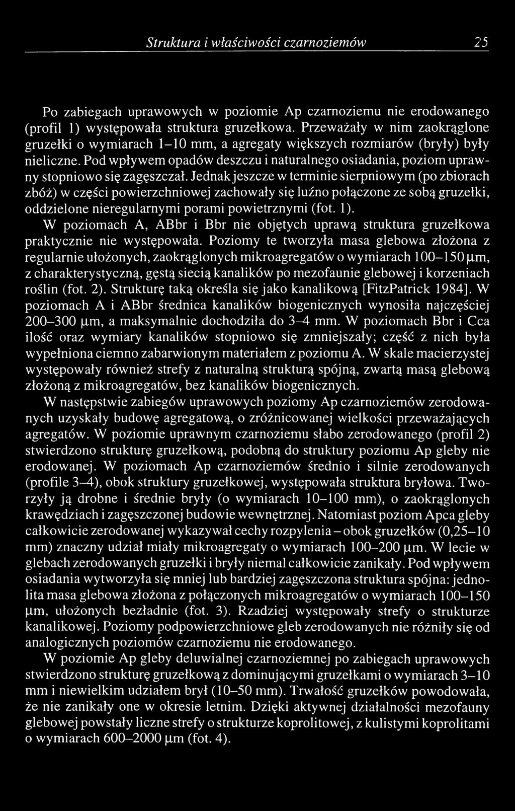 Pod wpływem opadów deszczu i naturalnego osiadania, poziom uprawny stopniowo się zagęszczał.