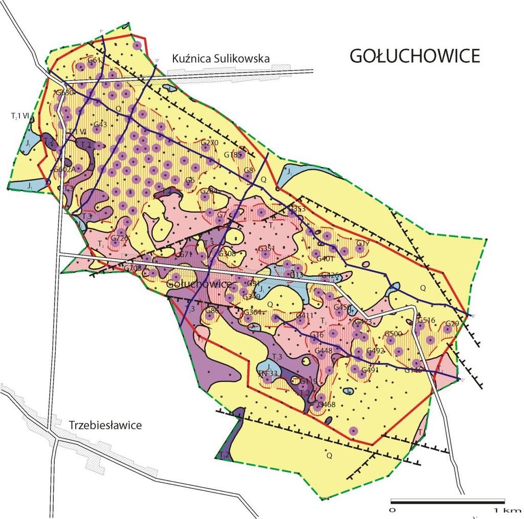 Projekty surowcowe PSG Surowce metaliczne cynk i ołów Przedokumentowanie niezagospodarowanych złóż rud Zn i Pb na obszarze śląsko-krakowskim Nowa metodyka i nowe kryteria bilansowości Największe