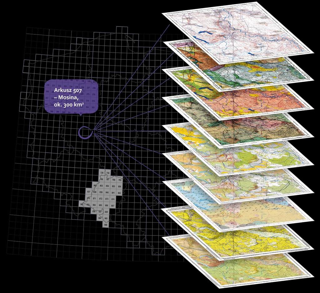 Kartografia geologiczna informacja o złożach Szczegółowa mapa geologiczna Polski w skali 1 : 50 000 Mapa litogenetyczna Polski w skali 1:50 000 Mapa geośrodowiskowa Polski plansza A i B
