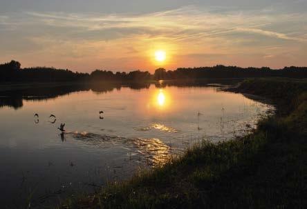 Grzegorzewice 181 15,6 km Młchowszczyzn 201 Mciejów Suszeniec Nowe Poręby Bronisłwów Osuchowski 21 Olszówek Jnówek Edwrdowo Wygnnk 195 876 Wilczorud Jezi Ci Mchnt -Prcel Kol.