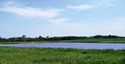 TRASY ROWEROWE 46 km SZLAKIEM PISI GĄGOLINY Rezerwt Stwy Gnojn Rezerwt Stwy Gnojn SZLAKIEM PISI GĄGOLINY Mszczonów Rdziejowice Żyrrdów Mszczonów Od źródeł w Dwórznie i Bronisłwowie, do ujści do