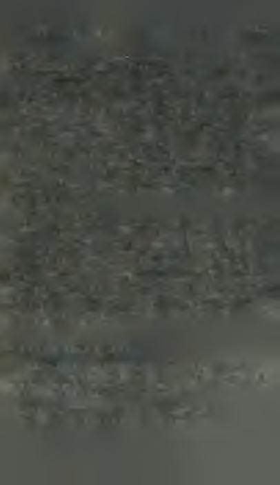 Barwa o b i e k t u z a l e ż y j e d n a k n i e t y l k o od j e g o w ł a ś c i w o ś c i ( d l a o b i e k t ó w p r z e z r o c z y s t y c h od w id m o w eg o w s p ó ł c z y n n i k a p r z e