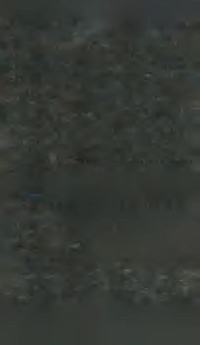 Z a i n 