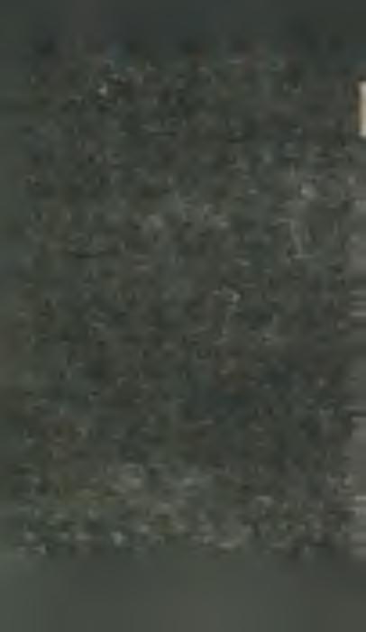 y s k a n o d l a określonej o d l e g ł o ś c i kam ery, od o b s e r w o w a n e j s c e n y d w u w y m ia r o w e j.