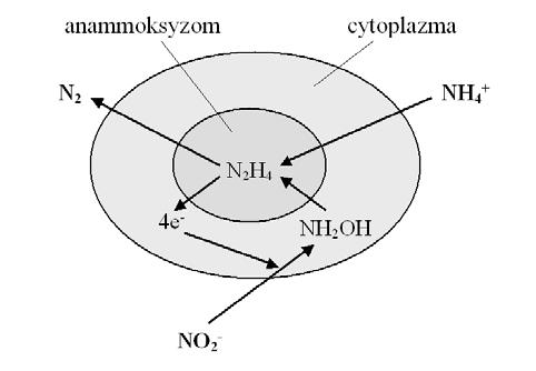 et al., 23],