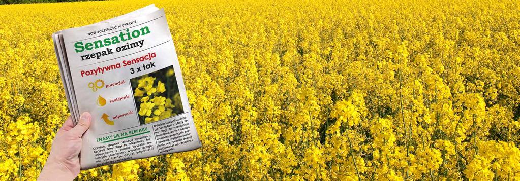 RZEPAK OZIMY PROFIL ODMIANY Rejestracja: 2012 Dania Typ: mieszaniec zrestorowany, OGU-INRA Wczesność: średnio wczesna do średnio późnej Termin kwitnienia: średniopóźne Termin zbioru: średniopóźny