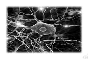 BIOCHEMIA I BIOFIZYKA Koordynator: prof. dr hab. Eugeniusz Rokita Prowadzący: dr hab. Grzegorz Tatoń 15 h wykłady (5 x 3h 12. XII, 19.XII, 9.I, 16.I, 23.I) 7.
