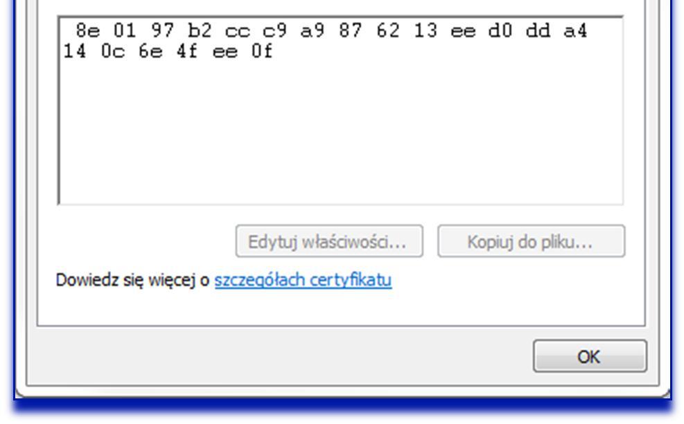 Strona Bankowo ci Internetowej przed lub po zalogowaniu wygl da inaczej, lub prezentuje inne komunikaty ni zazwyczaj.