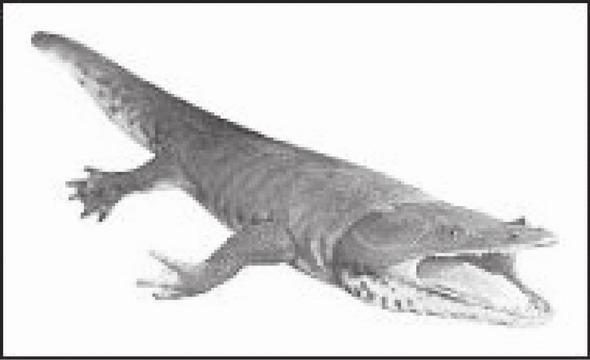 zaprojektowano ruchomą platformę poruszającą się nad polem skamieniałości. W sezonie od lipca do września można przyjrzeć się pracy paleontologów. Stanowi to ciekawą atrakcję turystyczno - edukacyjną.