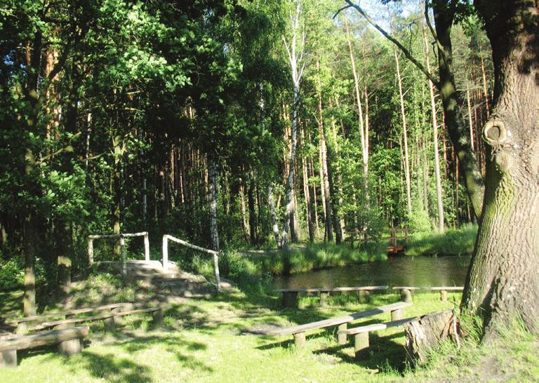 św.