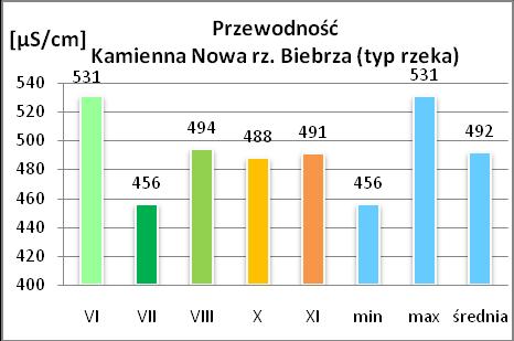 Nazwa: Kamienna Nowa rz.