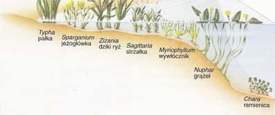 zewnętrzne