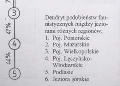 Z uwzględnieniem Wze Poziom krajobrazowy Zróżnicowanie na