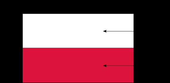 - Kolor czerwony jest symbolem ognia, a z cnót oznacza odwagę i waleczność - Czy to prawda, że nie umiemy wieszać i eksponować flagi państwowej?