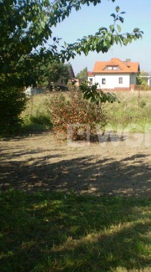 Wola Moszczenicka