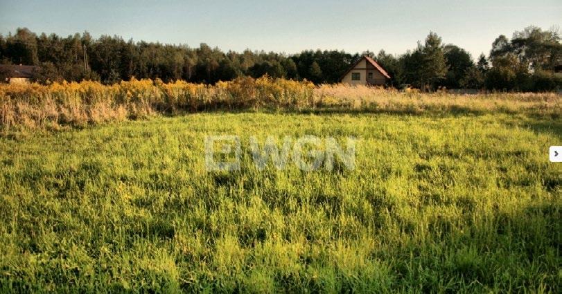 Jaworzno 150.000 PLN typ transakcji sprzedaż data publikacji 2015