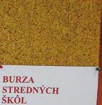 Giełda Pracy, Informacji i Edukacji.