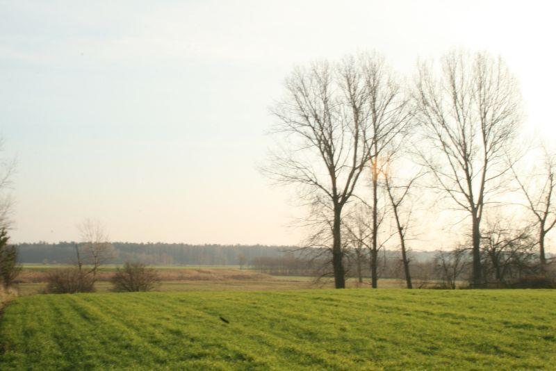 z pierwszego tysiąclecia p.n.e. Od niego wzięła się nazwa miejscowości. Składa się ono z dwóch części: północnej owalnej (średnicy ok. 160 m) i południowej (średnicy ok.