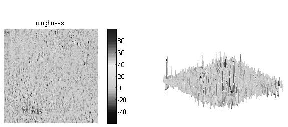 chropowatość. P. Carcagni et al.