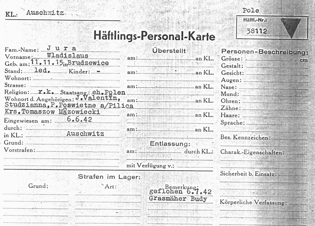 Dokument wystawiony przez Wydział Zatrudnienia KL Auschwitz więźniowi Władysławowi Jurze (nr