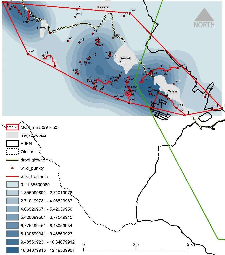 na obszarach SE od miejscowości Wetlina, Smerek oraz Krzywe (Ryc.3; gradacja kolorów niebieska).