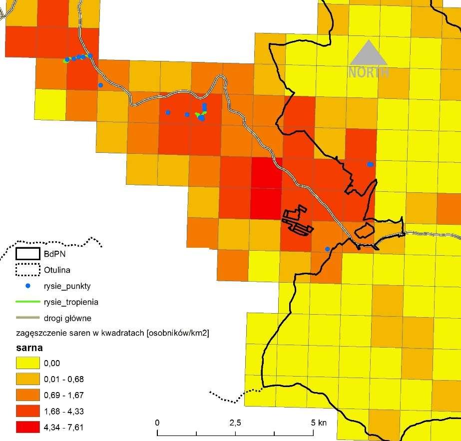 Ryc.5 Stwierdzenia rysia (dane punktowe i tropienia) w strefach wysokich zagęszczeń sarny na obszarze otuliny BdPN w gminie Cisna. W wyniku prowadzonych prac potwierdzono występowanie min.