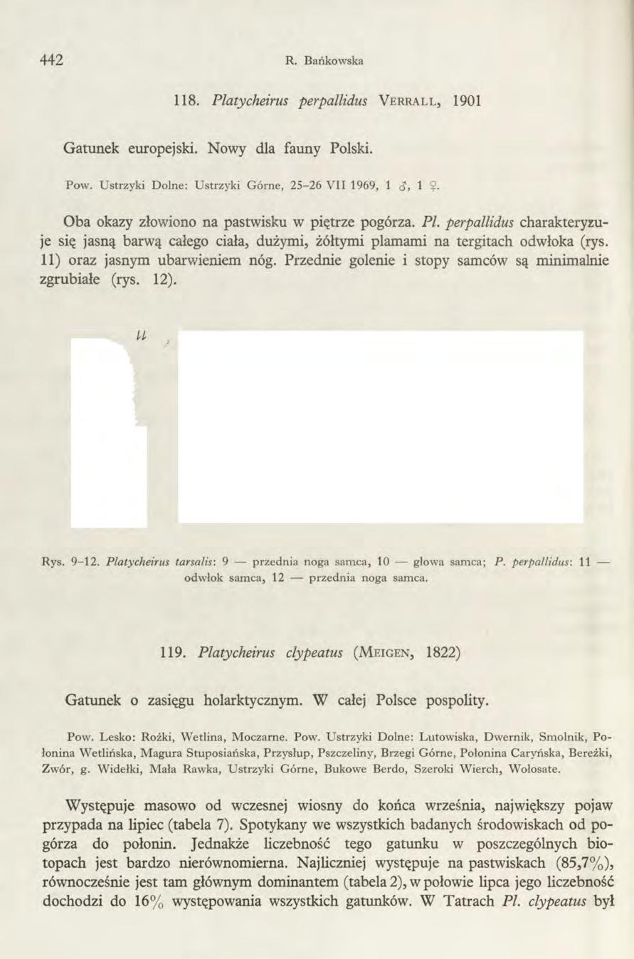 442 R. Bańkowska 118. Platycheirus perpallidus V er r a l l, 1901 Gatunek europejski. Nowy dla fauny Polski. Pow. Ustrzyki Dolne: Ustrzyki Górne, 25-26 VII 1969, 1 c?, 1 $.