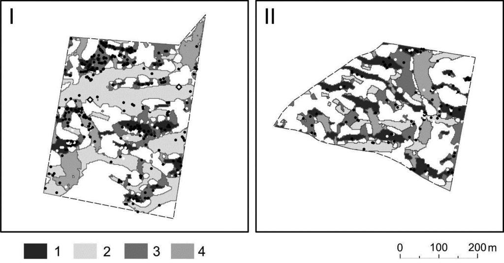P. Sewerniak, Ł. Mendyk / Leśne Prace Badawcze, 2015, Vol. 76 (2): 122 128 125 Rycina 2. Rozmieszczenie stoków wydm z zaznaczonymi występującymi na nich drzewami.