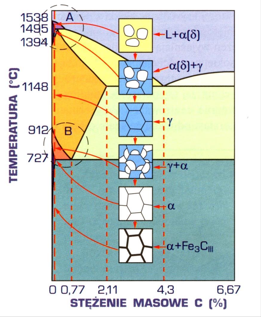 Chłodzenie stali ferrytycznej Obniżenie temp. cieczy do linii AB powoduje wydzielanie z cieczy kryształów ferrytu ( ); zakres krzepnięcia ograniczony linią AB i AH.