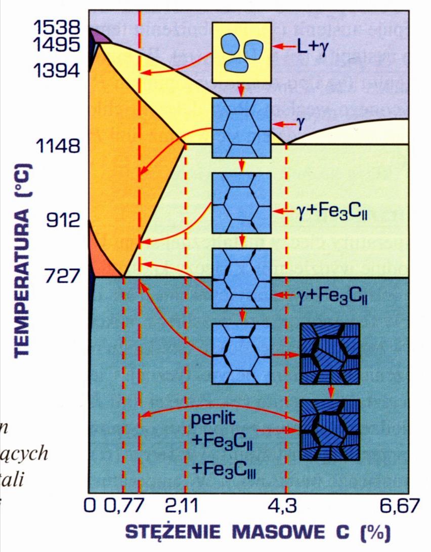 Chłodzenie stali nadeutektoidalnej Obniżenie temp. cieczy do linii BC powoduje wydzielanie z cieczy kryształów austenitu. Jego udział zwiększa się w tym stopie w miarę dalszego chłodzenia.