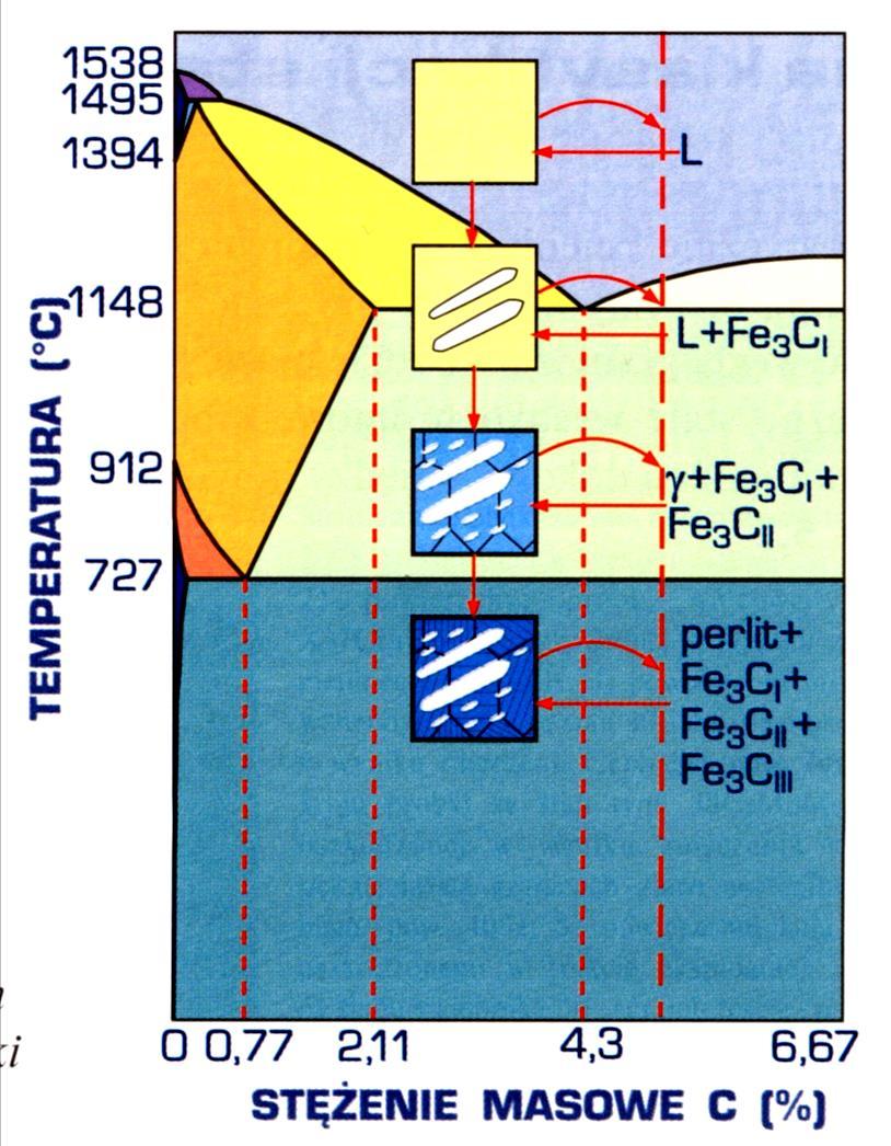 Chłodzenie surówki nadeutektycznej Obniżenie temp. cieczy do linii CD powoduje wydzielanie kryształów cementytu pierwotnego Fe 3 C I.