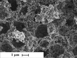 wpływem dużego stężenia elektrolitów (chlorku niklu) koaguluje w większe mikrometryczne klastry, które stanowią matrycę struktury makroporowatej